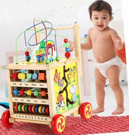 Antepremergator Educativ 6in1 Activitati Montessori