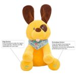 Jucarie plus muzicala Catelusul Cucu Bau Peek a Boo