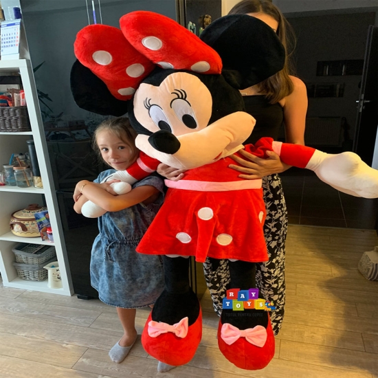 Minnie-si-Mickey-Mouse-plus-Mare-Disney2