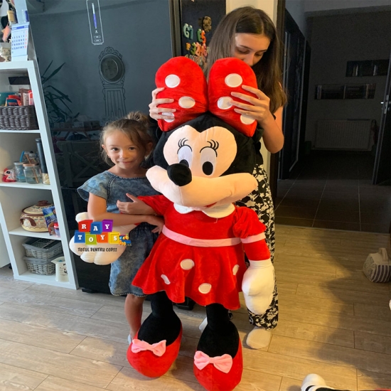 Minnie-si-Mickey-Mouse-plus-Mare-Disney3