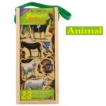 Set-forme-magnetice-educative-din-lemn-cu-desene