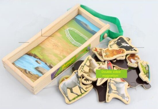 Set-forme-magnetice-educative-din-lemn-cu-desene