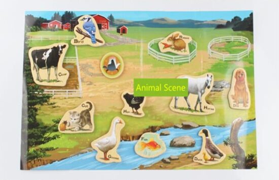 Set-forme-magnetice-educative-din-lemn-cu-desene