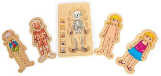 Puzzle din lemn in straturi Corpul Meu Onshine