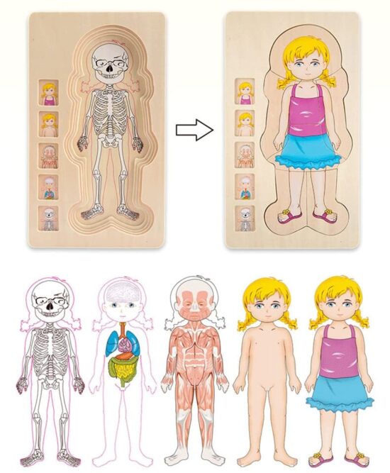 Puzzle din lemn in straturi Corpul Meu Onshine