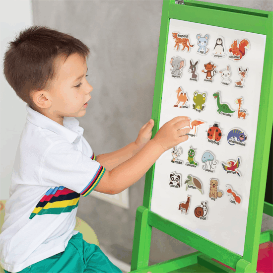 Lumea Animalelor Piese magnetice din spuma Eva