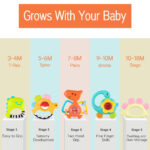 Set 5 jucarii dentitie bebe Dinozaur Hola