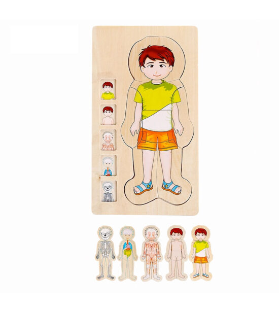 Puzzle din lemn in straturi Corpul Meu Onshine