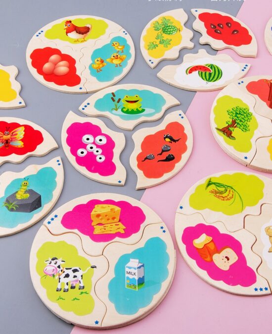 Jucarii-Montessori-lemn-Puzzle-uri-Ciclul-de-viata.jpg