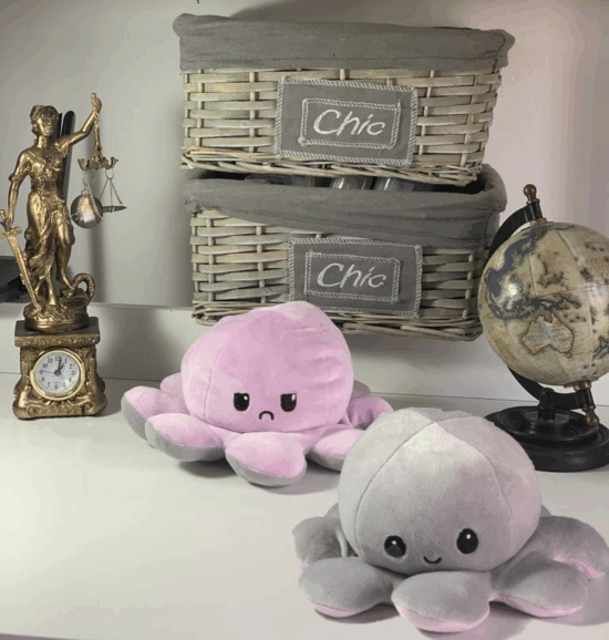 jucarii-plus-caracatita-reversibila-cu-2-fete-octopus