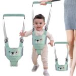 Ham bebe primii pasi Vernil 2in1 Accesoriu de mers