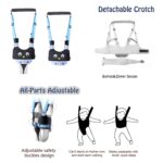 Ham bebe primii pasi 2in1 Pinguin Accesoriu de mers