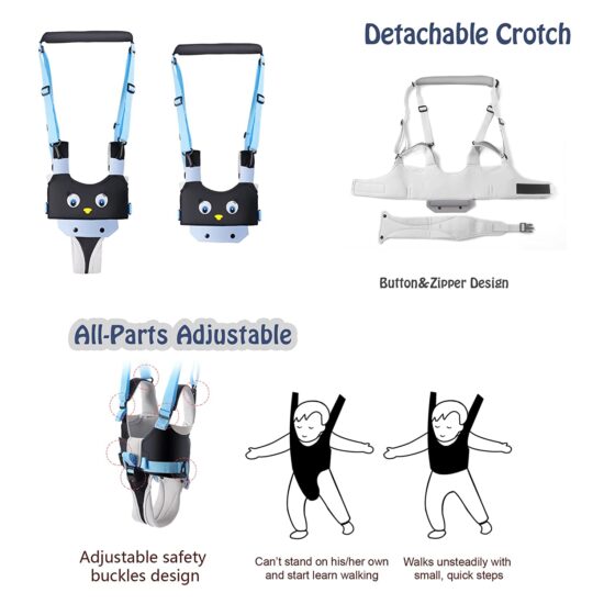 Ham bebe primii pasi 2in1 Pinguin Accesoriu de mers