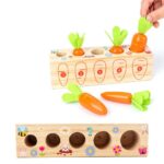 Joc educativ Numaram Invatam dimensiunea morcovilor