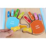 Puzzle Montessori 3D Invatam mainile si degetele numerotate