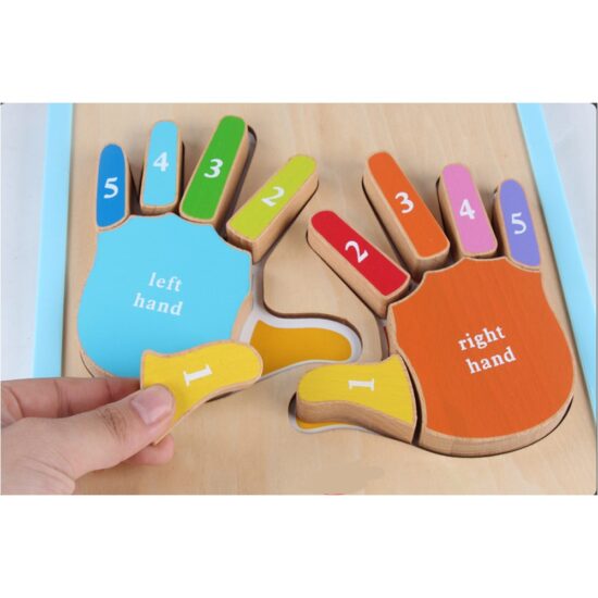 Puzzle Montessori 3D Invatam mainile si degetele numerotate