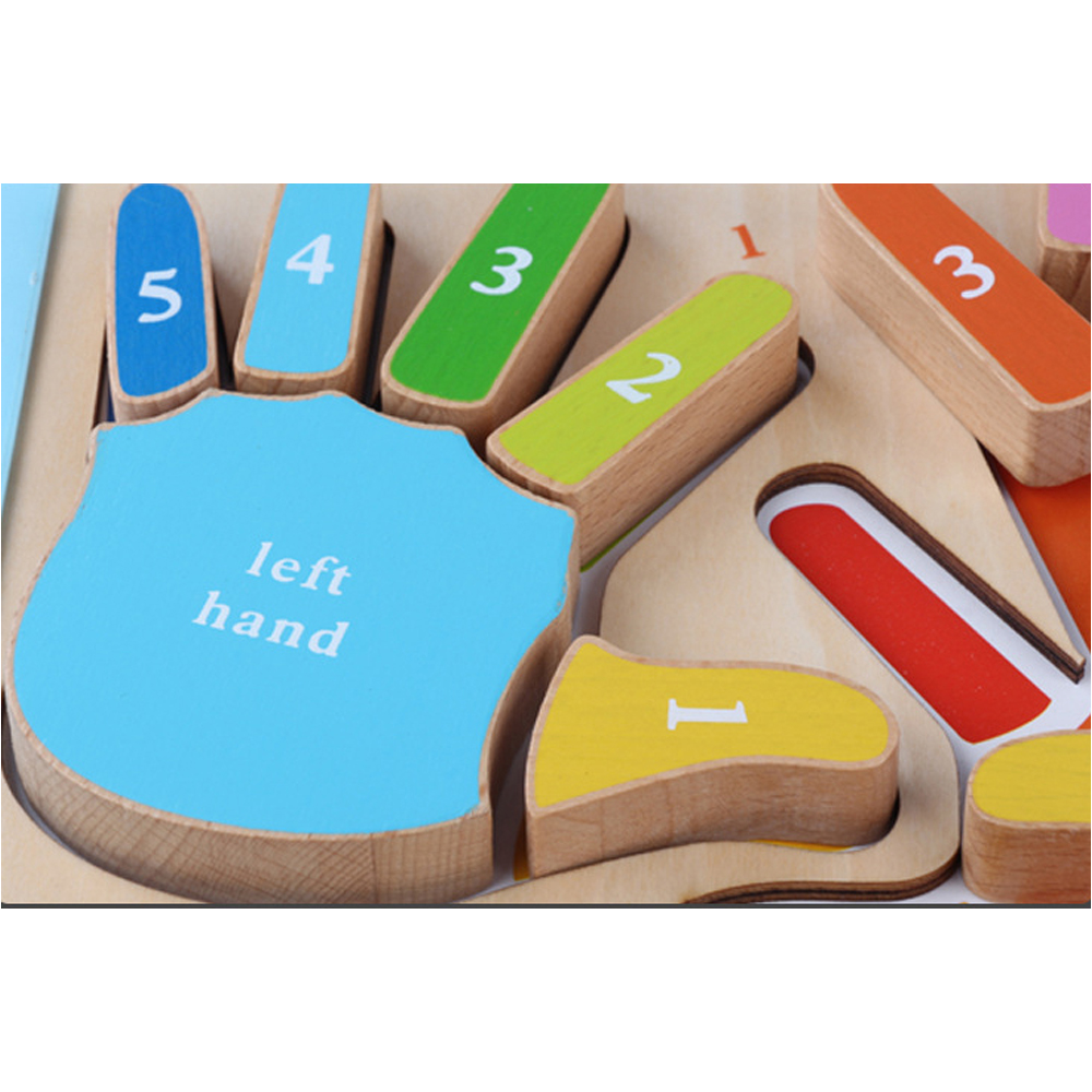 Puzzle Montessori 3D Invatam mainile si degetele numerotate