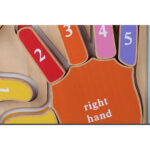 Puzzle Montessori 3D Invatam mainile si degetele numerotate