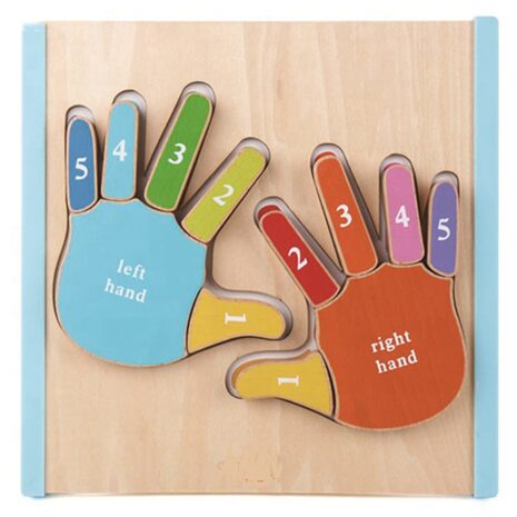 Puzzle Montessori 3D Invatam mainile si degetele numerotate