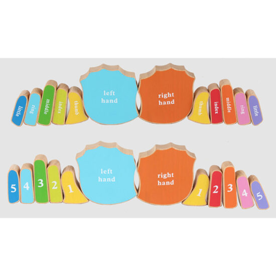 Puzzle Montessori 3D Invatam mainile si degetele numerotate