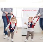 Ham bebe pentru primii pasi Bleumarin 2in1 Accesoriu de mers