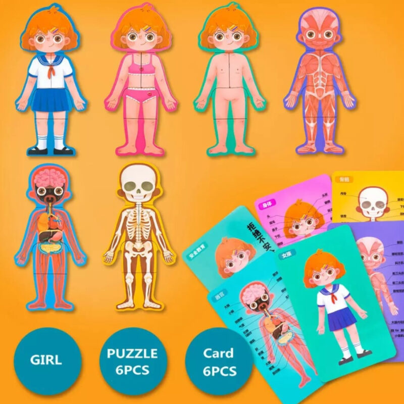 Puzzle Corpul uman Jucarie Anatomia Baiat Fetita din lemn