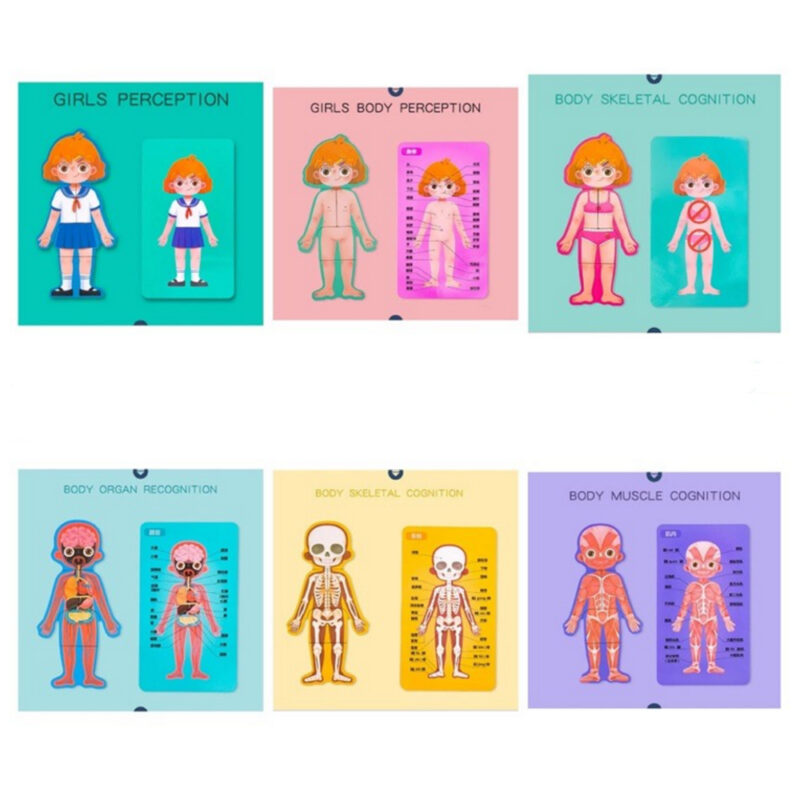 Puzzle Corpul uman Jucarie Anatomia Baiat Fetita din lemn