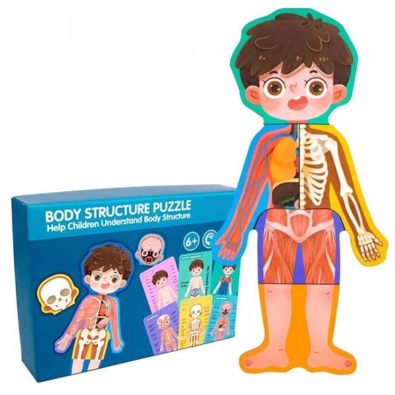 Puzzle Corpul uman Jucarie Anatomia despre Baiat din lemn