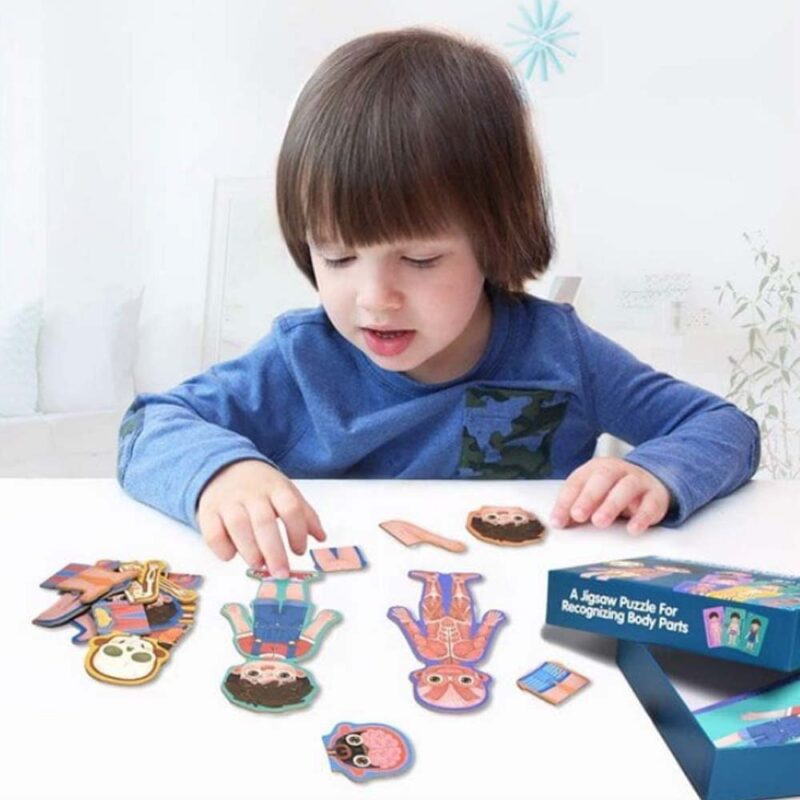 Puzzle Corpul uman Jucarie Anatomia despre Baiat din lemn