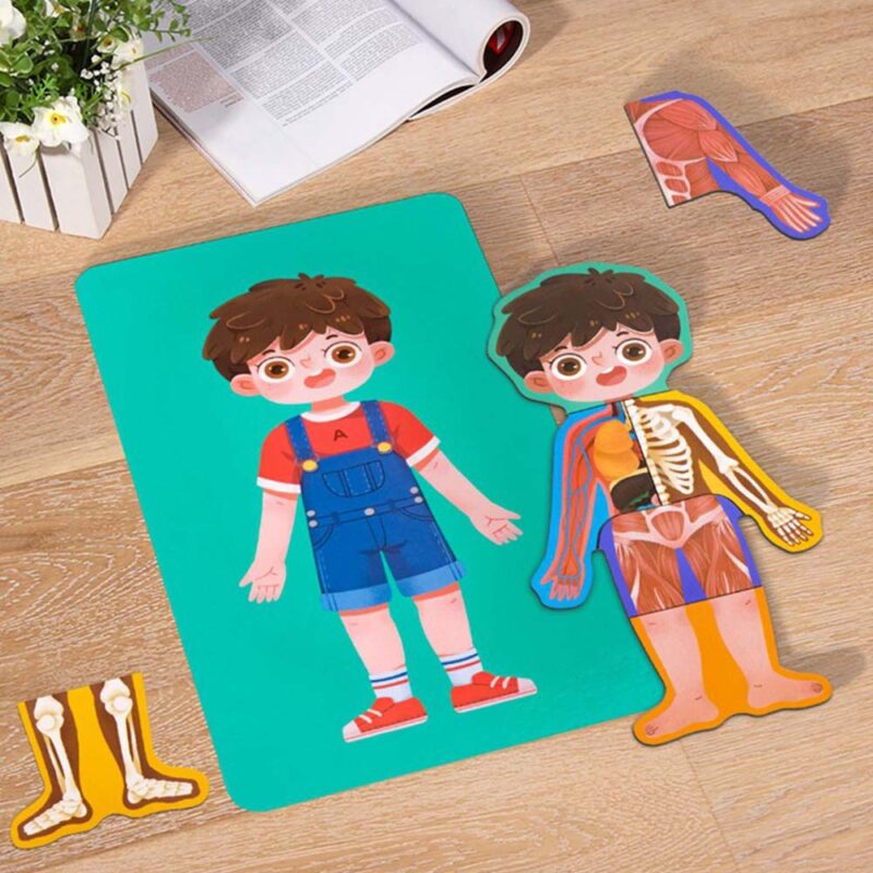Puzzle Corpul uman Jucarie Anatomia despre Baiat din lemn
