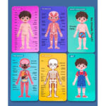 Puzzle Corpul uman Jucarie Anatomia despre Baiat din lemn
