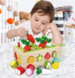 Jucarie cu roti Cutia de pescuit Puzzle fructe legume