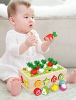 Jucarie cu roti Cutia de pescuit Puzzle fructe legume