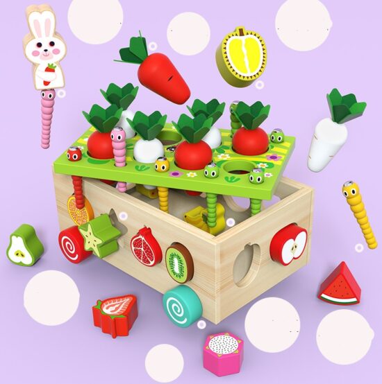Jucarie cu roti Cutia de pescuit Puzzle fructe legume