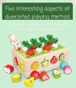 Jucarie cu roti Cutia de pescuit Puzzle fructe legume