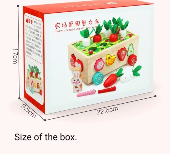 Jucarie cu roti Cutia de pescuit Puzzle fructe legume