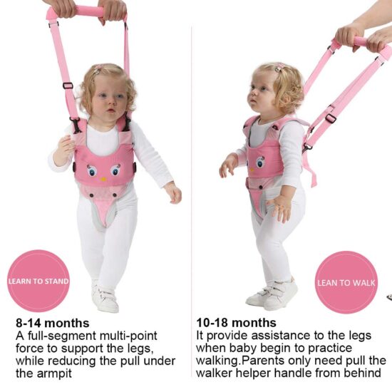 Ham bebe primii pasi ROZ 2in1 Accesoriu de mers