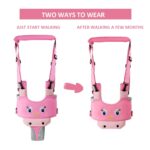 Ham bebe primii pasi ROZ 2in1 Accesoriu de mers