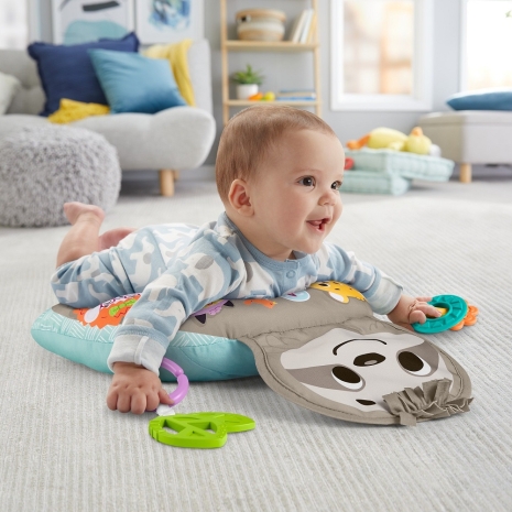 Perna burtica bebe Sunete Accesorii si Vibratii Fisher Price