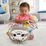 Perna burtica bebe Sunete Accesorii si Vibratii Fisher Price