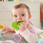 Perna burtica bebe Sunete Accesorii si Vibratii Fisher Price