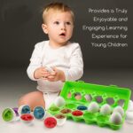 Oua 12 forme Dinozauri colorati Jucarii Montessori STEM