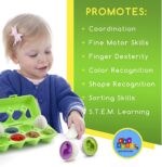 Oua 12 forme Dinozauri colorati Jucarii Montessori STEM