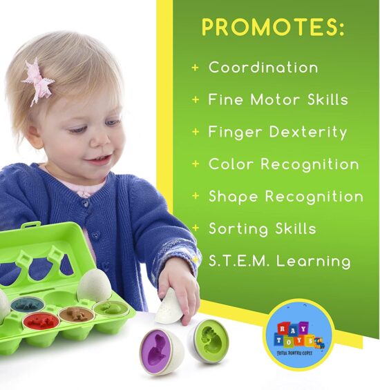 Oua 12 forme Dinozauri colorati Jucarii Montessori STEM