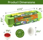 Oua 12 forme Dinozauri colorati Jucarii Montessori STEM