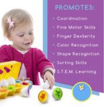 Oua forme geometrice si culori Jucarii Montessori STEM