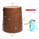 Pescuit magnetic Ciocanitoarea prinde viermisorii din copac