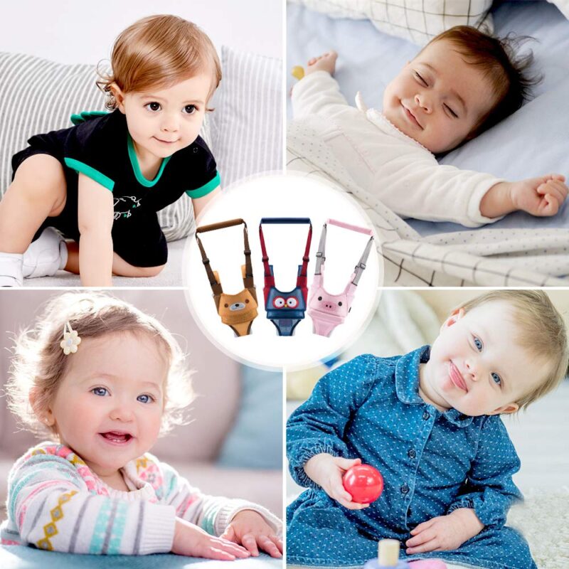 Ham bebe primii pasi Roz 2in1 Accesoriu de mers