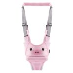 Ham bebe primii pasi Roz 2in1 Accesoriu de mers