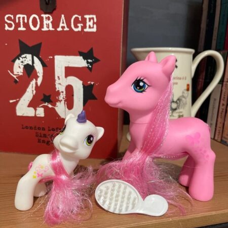 Set Ponei cu accesorii My little Pony